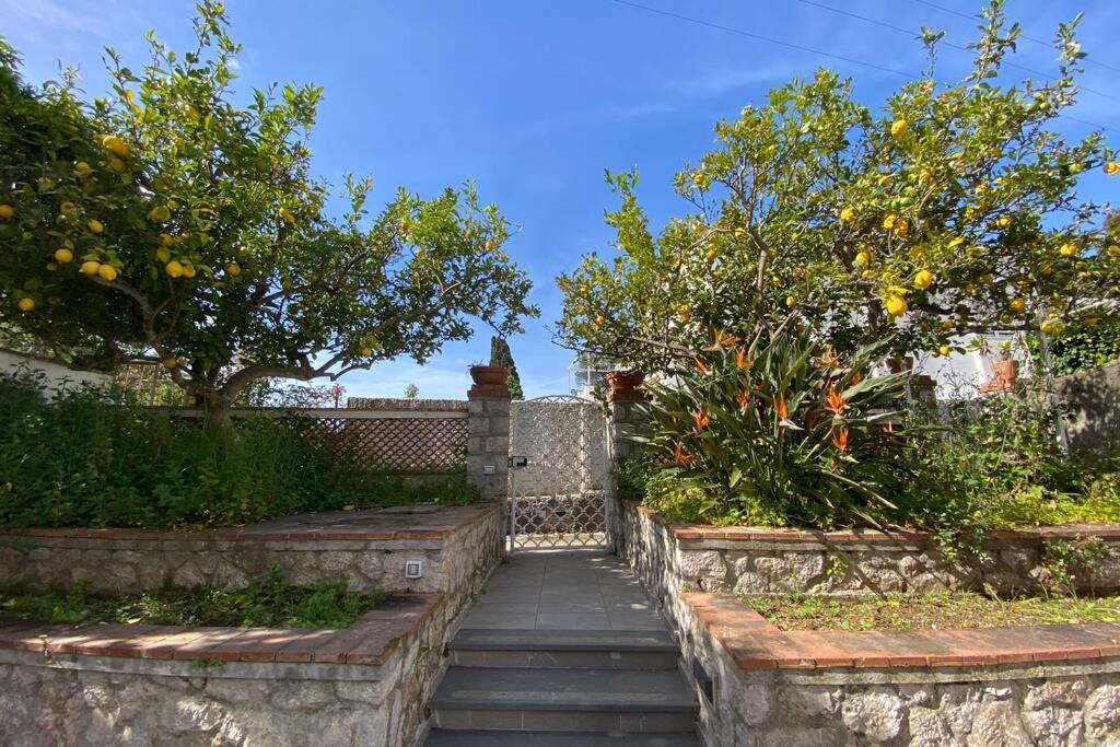 I Limoni Capri Apartment Екстериор снимка